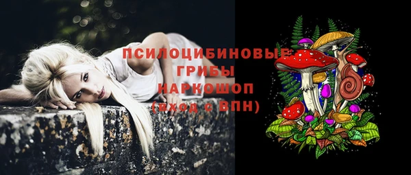 прущие грибы Алзамай