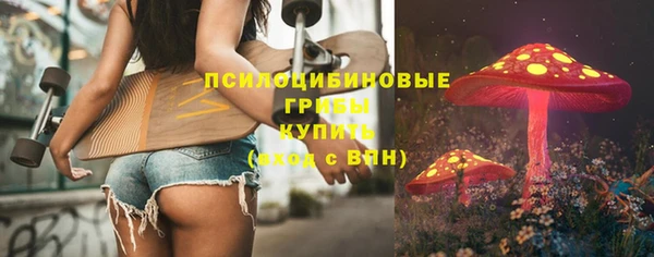 прущие грибы Алзамай